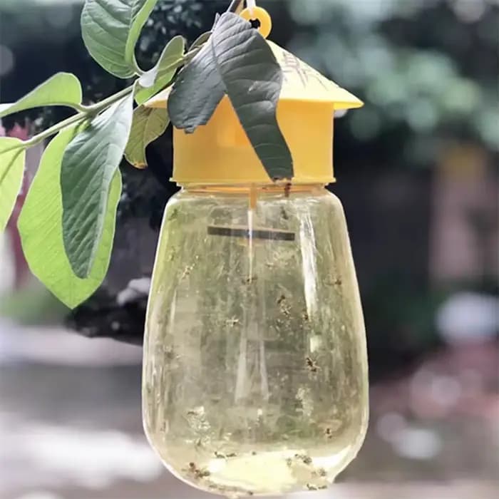 Piège à mouches en plastique pour fruits
