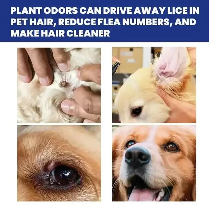 Spray anti-puces pour animaux de compagnie
