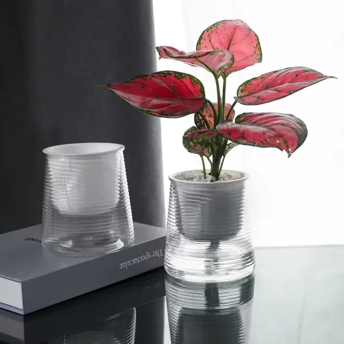 Pot de fleur Transparent au sol