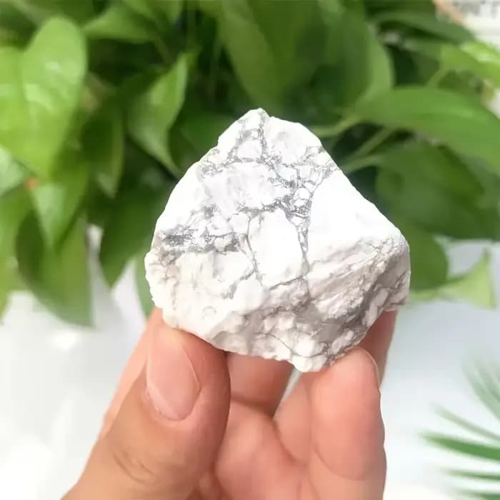 Cristal Howlite naturel et pierre brute