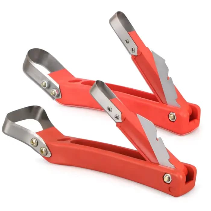 Lot de 2 grattoirs pour écorces d'arbres fruitiers