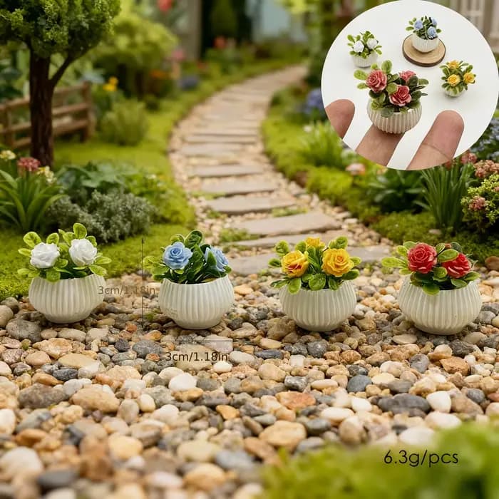 Plantes miniatures en pot de roses