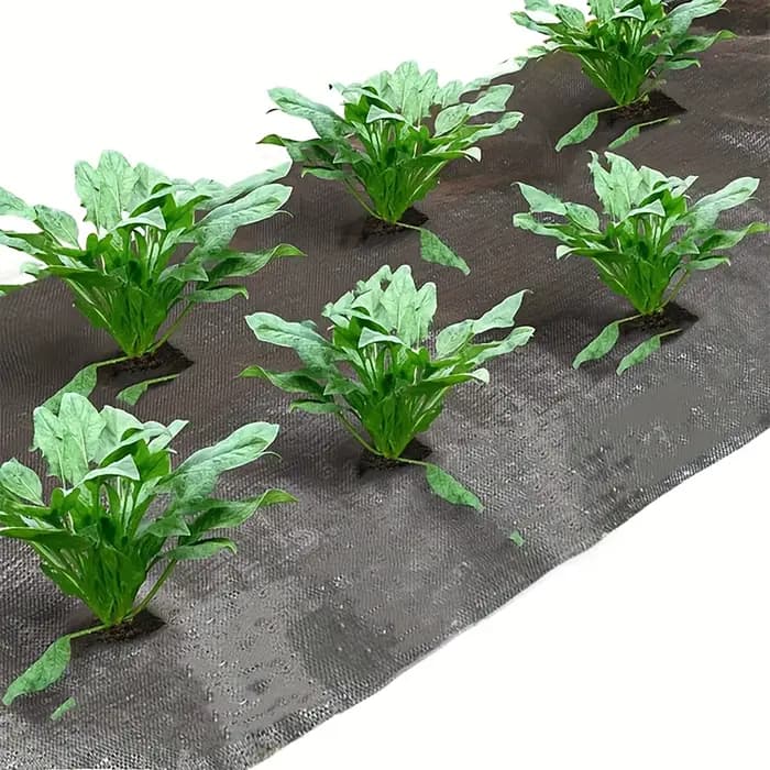 Tissu de contrôle des mauvaises herbes noir avec trous de plantation