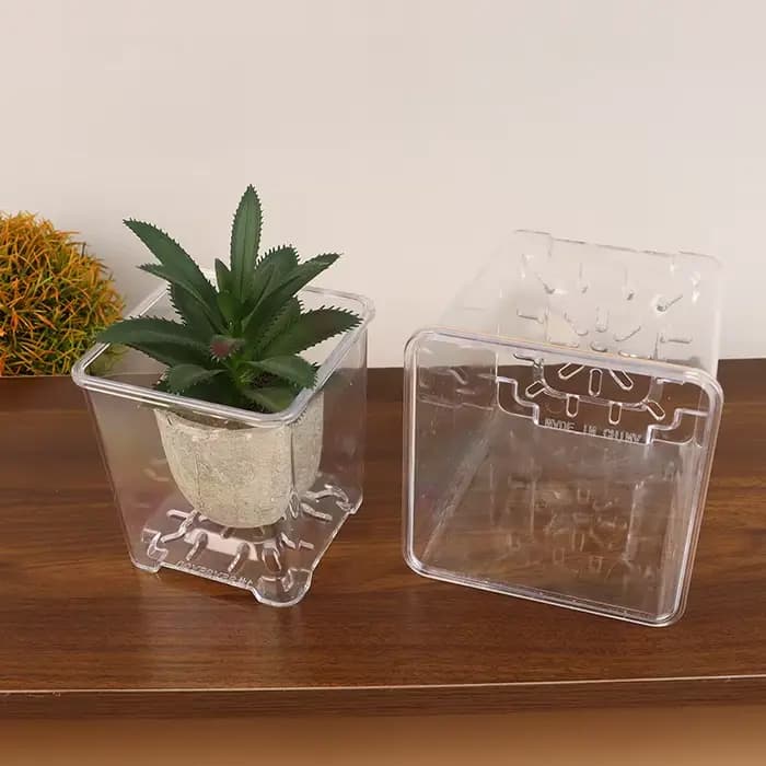 Pot de fleur transparent pour plantes