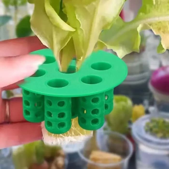 Plateau de germination à 7 alvéoles sans terre