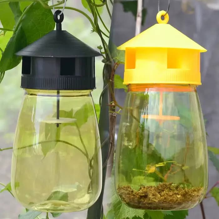 Piège à guêpes, mouches et insectes