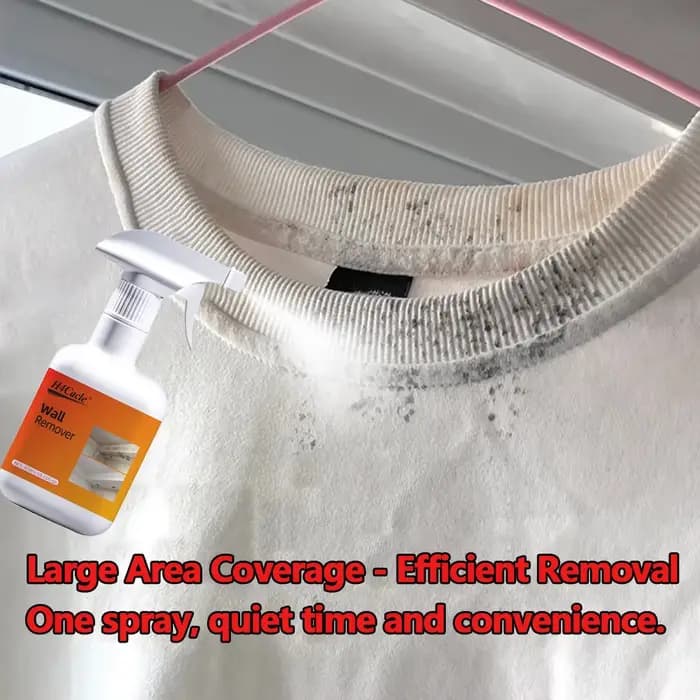 Spray dissolvant de moisissure