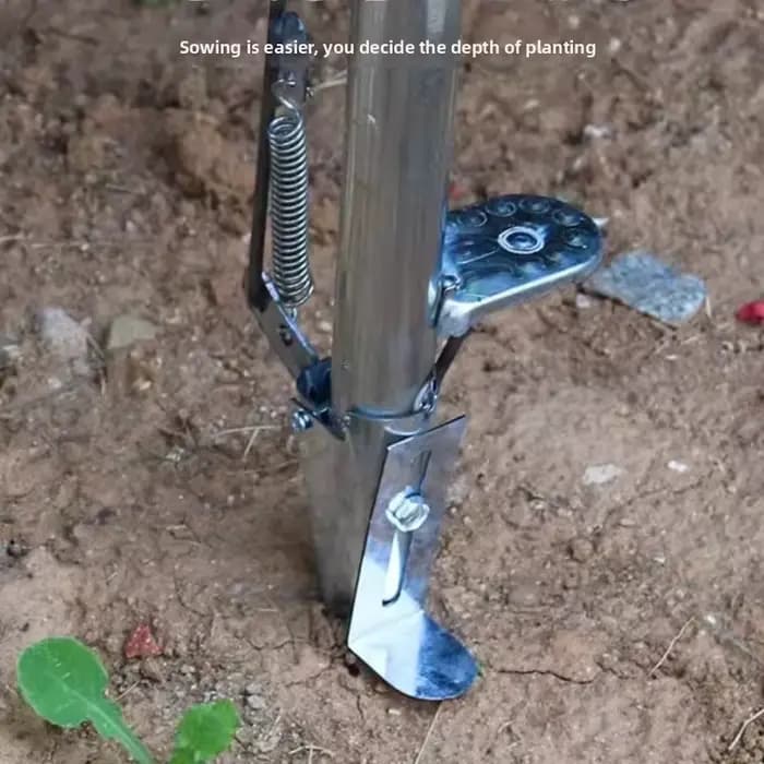 Semoir automatique pour maïs