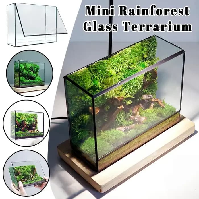 Mini terrarium écologique en verre pour forêt tropicale, mousse et fougères, carré, géométrique, miniatures, vase à plantes, conteneur, serre de table