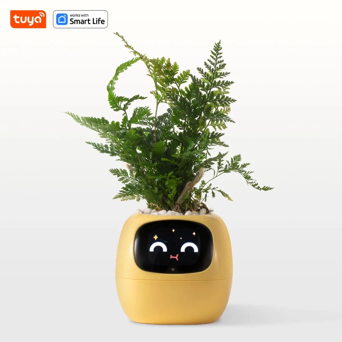 Jardinière intelligente Yellow Gen1 Ivy, plaisir sans fin avec plus de 49 expressions riches, 7 capt