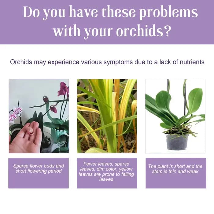 Liquide de croissance hydroponique pour plantes de jardin, complément de nutrition pour orchidées, c