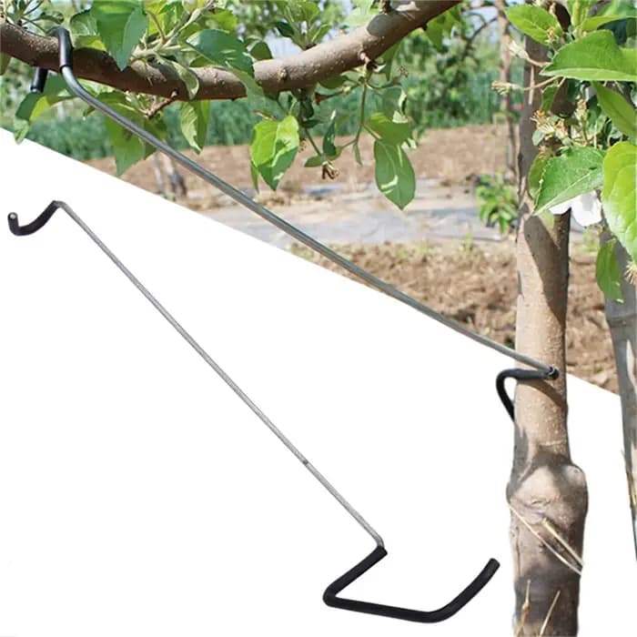 Écarteur de branches d'arbres fruitiers, 10 pièces/ensemble, outil de pliage de branches d'arbres po