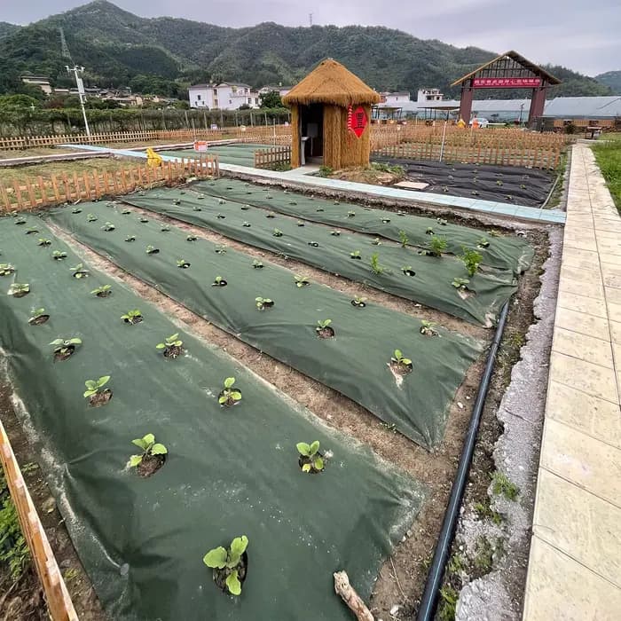 Tissu anti-mauvaises herbes perforé vert et noir, 2,62 pieds de large avec 12 piquets de sol de qual
