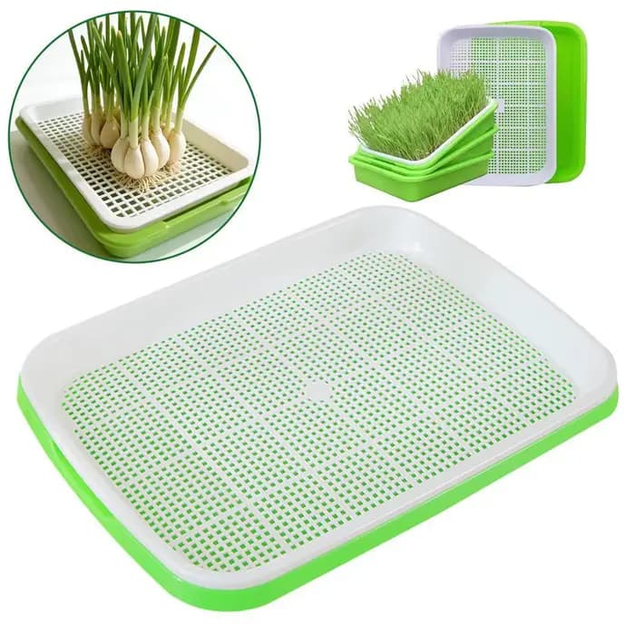 Plateau de germination pour micro-légumes hydroponiques, plateaux de culture pour herbes de blé, bac