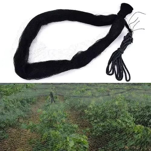 Filet anti-oiseaux, 3x10m, pour sécuritaires, pêche, pièges, cultures, arbres fruitiers, fleurs, jar