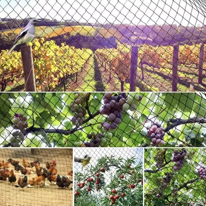 Nouveau 20mm trou noir HDPE maille verger légumes fraise cerise raisin fruits Anti oiseau filet étan