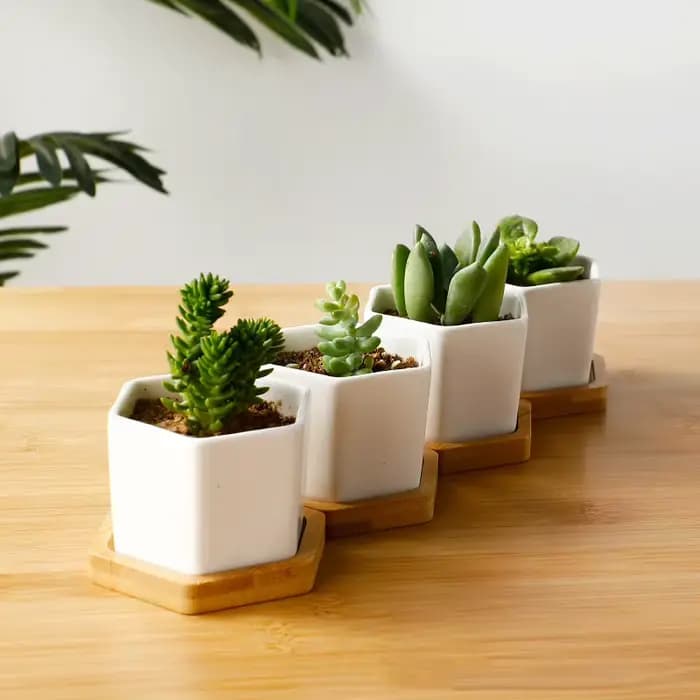 Pot de fleurs en céramique hexagonale blanche, pot de fleurs européen avec escalier, simple, récipie