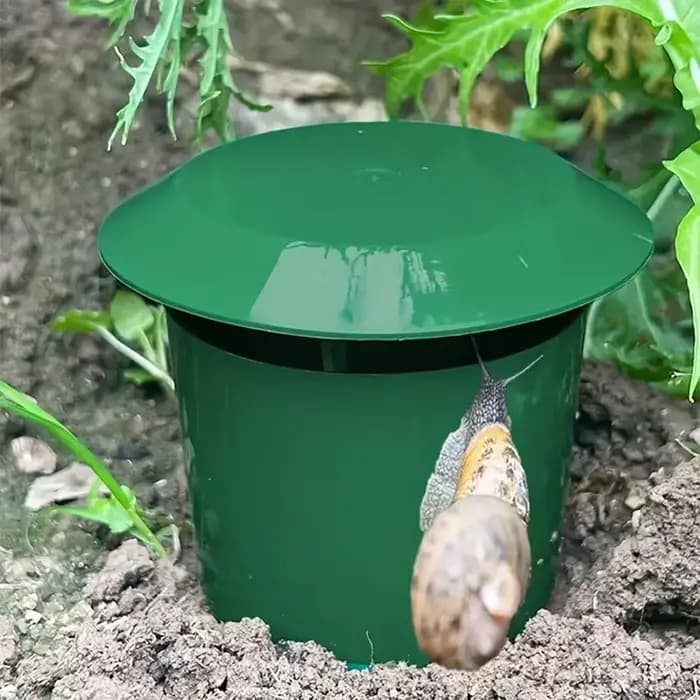 Piège à escargots de haute qualité, 5 pièces, durable, cage en plastique sûre pour légumes, fleurs,