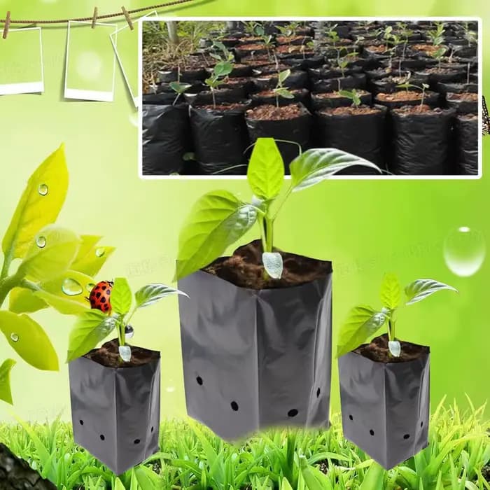 Sac de plantation de semis PE épais, Pot de culture de plantes de pépinière respirant noir pour jard