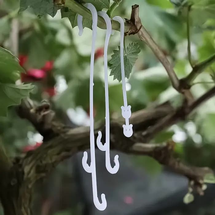 Support de plantes tomates, crochets en forme de J, plantes végétales réutilisables, treillis, vigne