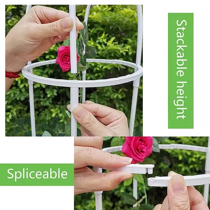 Support de jardin en treillis pour plantes grimpantes, cages pour plantes à fleurs, cadre de support