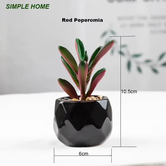 Plantes bonsaï succulentes artificielles avec Pot en poterie, pour décoration de salle, Table de bur