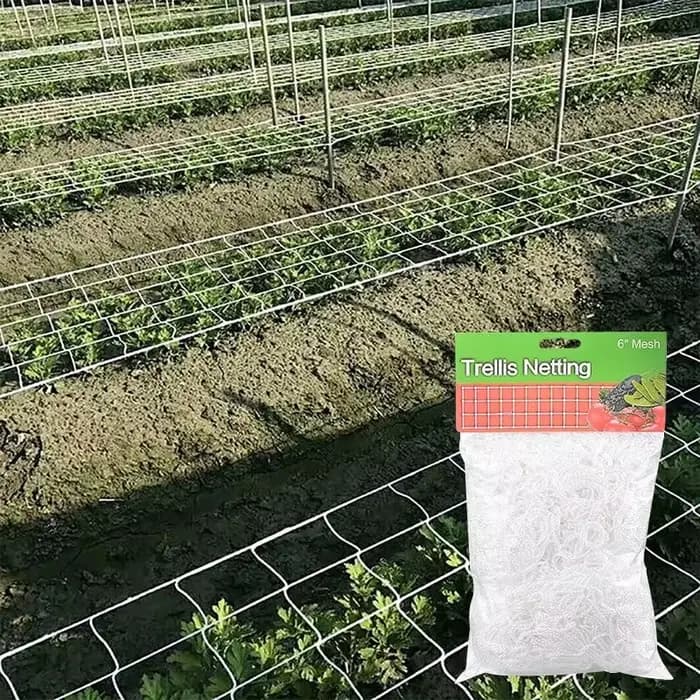 Filet en treillis pour plantes de jardin, support pour plantes, escalade de vigne, accessoires hydro