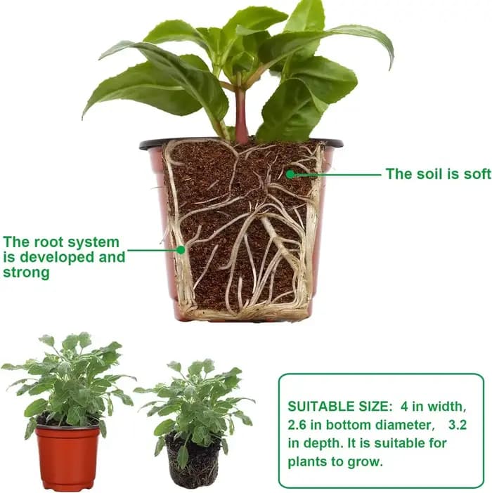 Pots de plantes en plastique avec étiquettes, récipients pour plantes à fleurs et semis, pots de dém