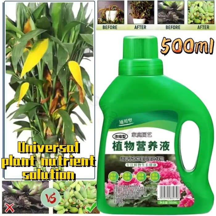 Solution hydroponique pour plantes nutritives, navigateur de fleurs de bambou, en pot, vert concentr