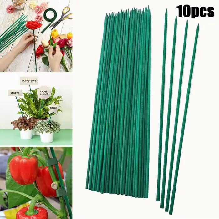 Bâtons de support pour plantes vertes, cannes, fleurs, piquet de plante de jardin, décorations de va