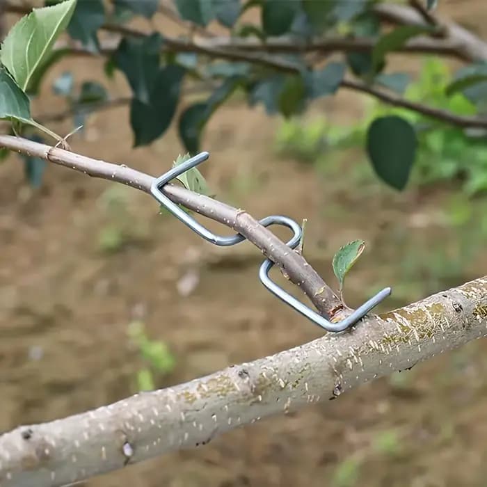Kit d'outils manuels pour cintrer les branches d'arbres fruitiers – Écarteur de branches sans moteur