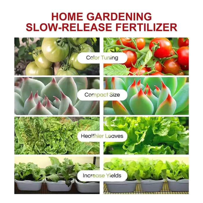 Comprimés de récupération universels à dégagement lent pour jardin, orchidées, plantes succulentes,