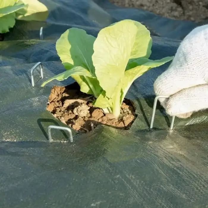 Piquets de jardin en U robustes, galvanisés, pour clôtures, tubes, gazon et aménagements paysagers,