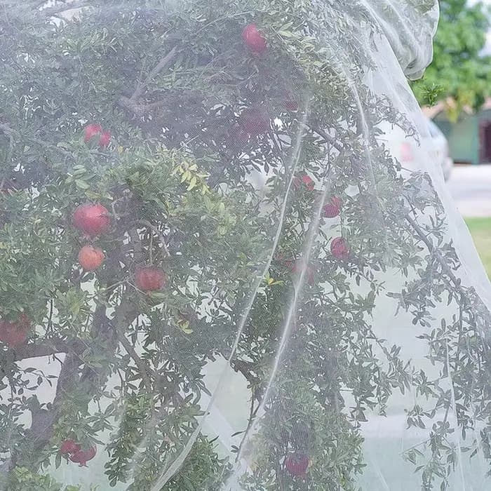 Filet à insectes de jardin blanc à 60 mailles, couverture de protection pour serre, plante de protec