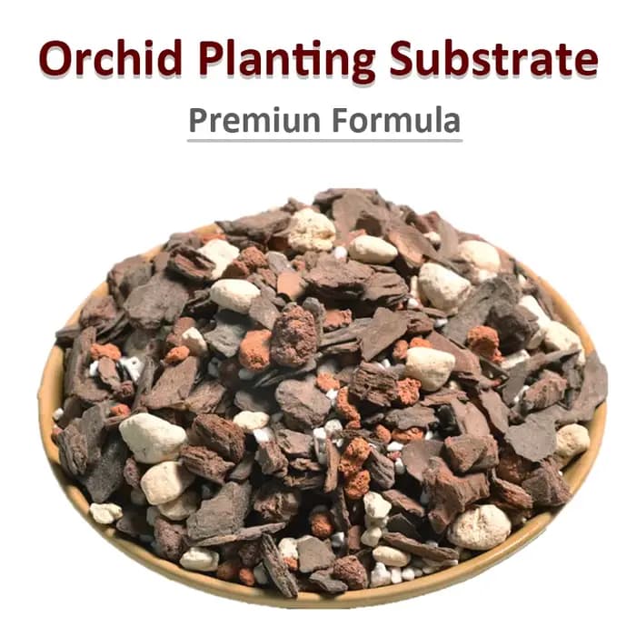 Navigateur de plantation de support d'orchidée à dégagement lent, XXL de croissance d'orchidées, sol