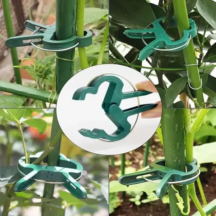 Clips fixes pour plantes, Support de serre de jardin réutilisable pour plantes fixes, vigne, fleur,