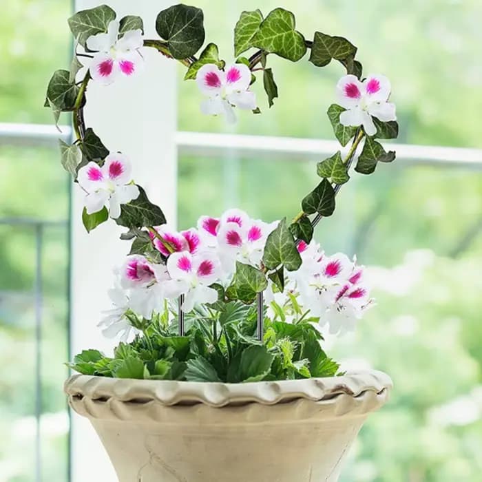 Piquet de support de plante de jardin en forme de coeur, cadre d'escalade de vigne circulaire pour f