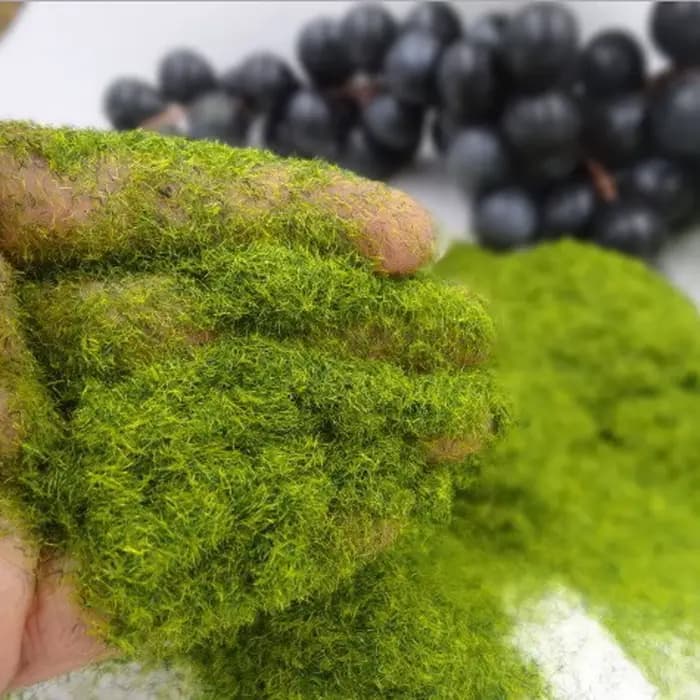 Matériel de modèle de construction artisanal de jardin, mousse artificielle, Micro décoration de pay
