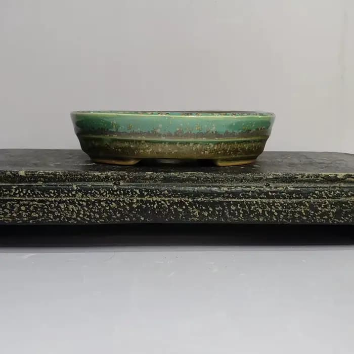 Pot à bonsaï glacé de forme ovale populaire avec motif de ligne