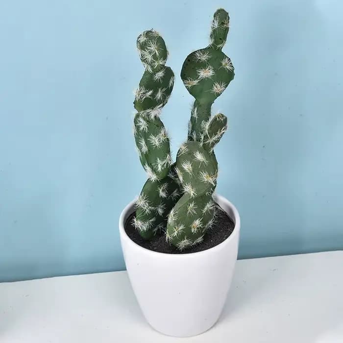 Cactus artificiel en pot plante verte Simulation succulente en pot fausses plantes Cactus bonsaï mai