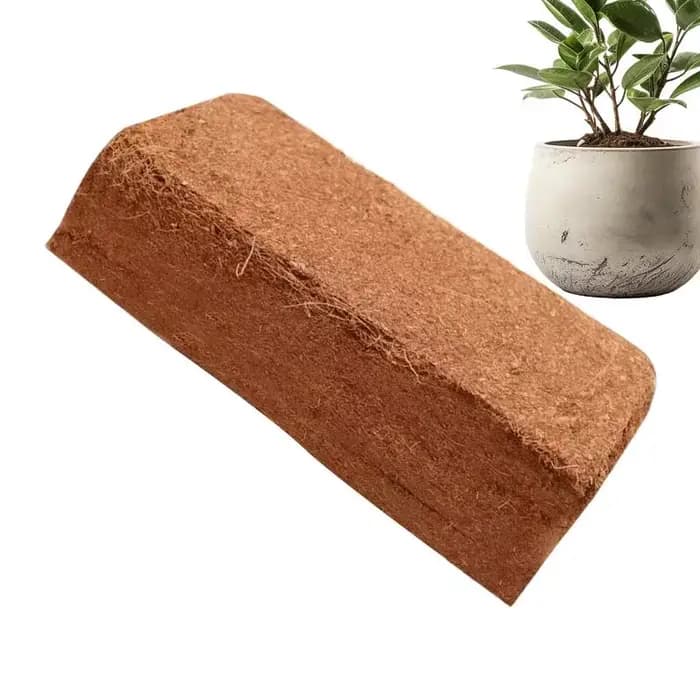 Brique de coco compressée biologique, plante de tourbe de noix de coco, sol nutritif, engrais compos