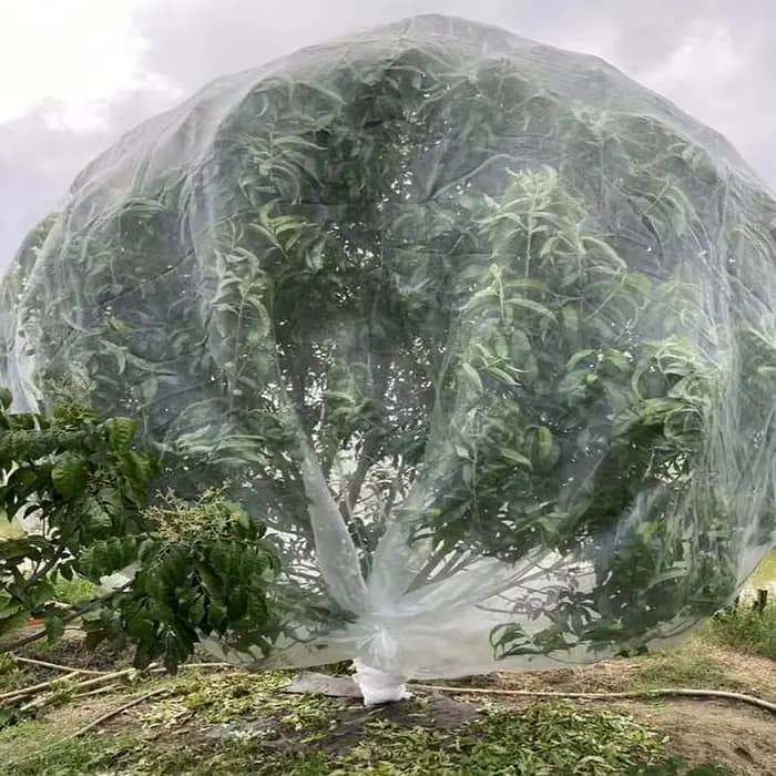 Personnaliser la largeur: 1 ~ 30m 60 maille oiseau plante barrière fleur fruits maille écran grand a