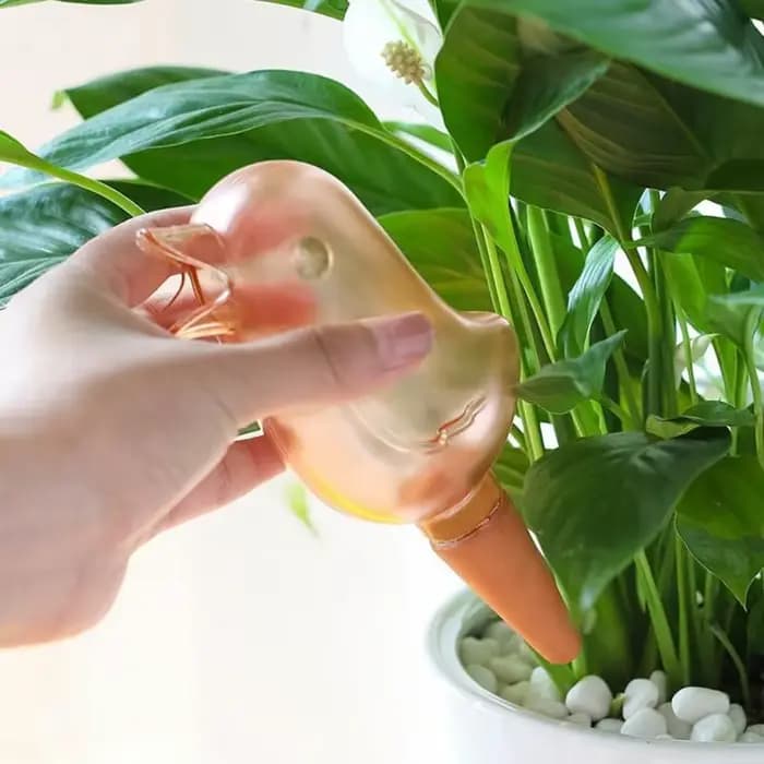 Outil d'arrosage automatique de jardin, kit de système d'irrigation goutte à goutte d'intérieur, abr