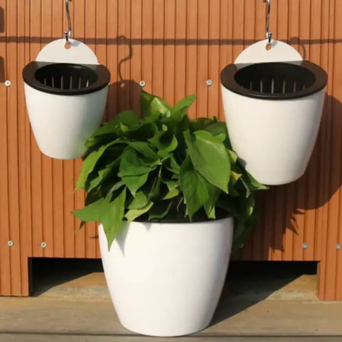 Pot de fleurs mural automatique absorbant l'eau, Pot de fleurs en plastique, aneth vert succulent, p