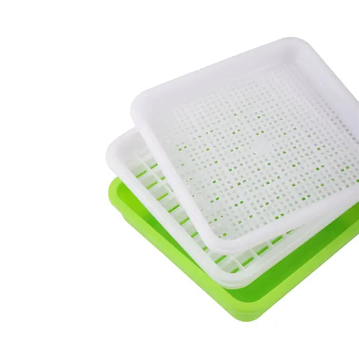 Boîte hydroponique pour germer des cacahuètes, graines, blé, graines, graines, graines, plateau pour