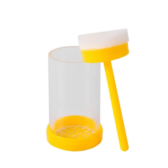 Marqueur d'Alimentation de Bouteille d'Apiculture, Bâton en Bois, Éponge, Equation de Reine, Attrape
