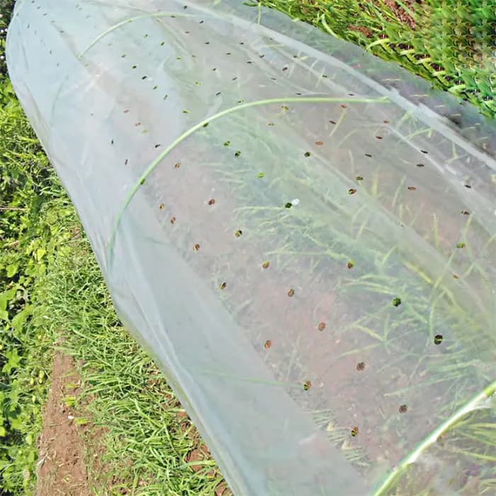 Film perforé transparent pour plantes de jardin et fleurs, housse de protection, serre respirante, c