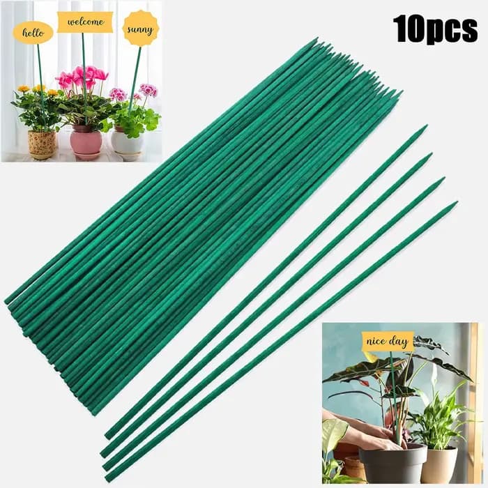 Bâtons de support pour plantes vertes, cannes, fleurs, piquet de plante de jardin, décorations de va