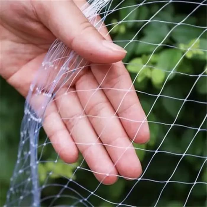 Filet Transparent pour oiseaux de verger, 5m,10m,20m, clôture agricole, jardinage, étang à poissons,