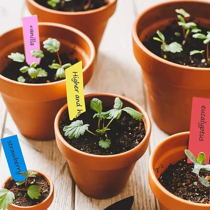 Plaques de pépinière imperméables pour plantes, signes de jardin, étiquettes, marqueurs en plastique